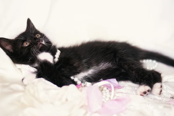 Gatinho preto bonito com pérola e pétalas de rosa — Fotografia de Stock