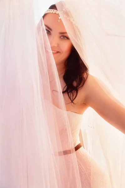 Bride with a long veil — Stock Photo, Image