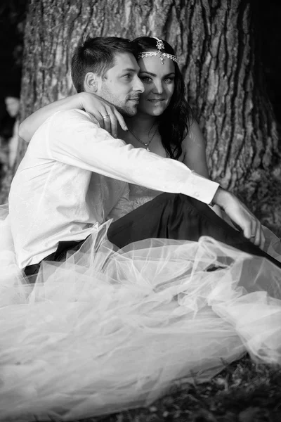 Noiva e noivo juntos em um fundo de árvore — Fotografia de Stock