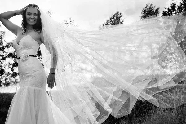 bride with a long veil. Black and white