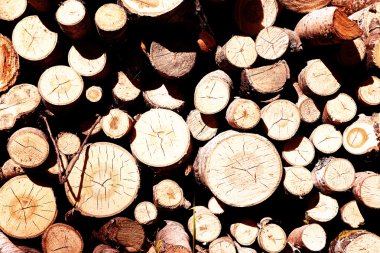 Isıtma için günlükleri