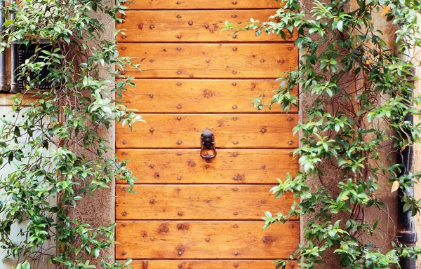 Bussare ad una porta di legno — Foto Stock