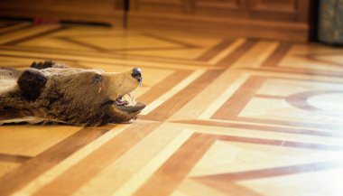 stuffed bear on the floor clipart