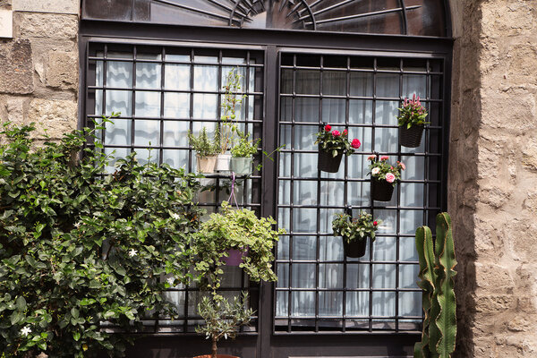Photo of flower pot in a window with bars
