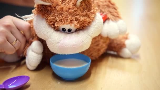 Іграшковий кіт п'є молоко з миски — стокове відео