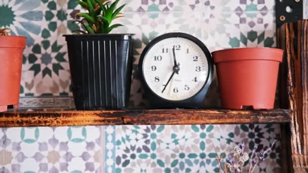乾燥した植物のある鉢は木製の棚に立つ — ストック動画