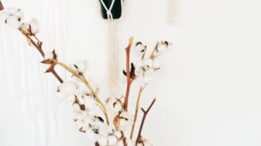 Odanın içi boho tarzında yapılmış. Beyaz hasır kaplar ve beyaz bir duvara asılmış bitkiler. Yüksek kaliteli FullHD görüntüler