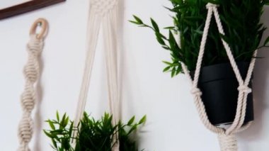 Odanın içi boho tarzında yapılmış. Beyaz hasır kaplar ve beyaz bir duvara asılmış bitkiler. Yüksek kaliteli FullHD görüntüler