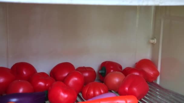 Іграшкові Пластикові Овочі Фрукти Знаходяться Полиці Старого Холодильника Концепція Дитячої — стокове відео