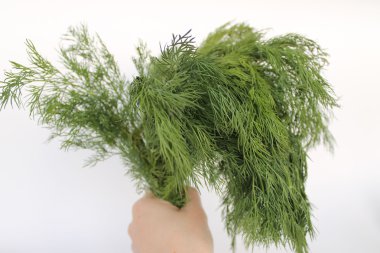 buket dereotu üzerinden