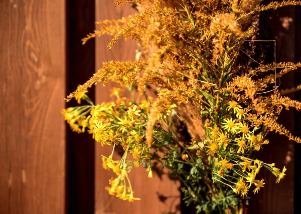 Hermosas hojas verdes en el jardín — Foto de stock © vov1977 #159203154