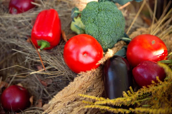 Composição com produtos hortícolas orgânicos brutos variados — Fotografia de Stock