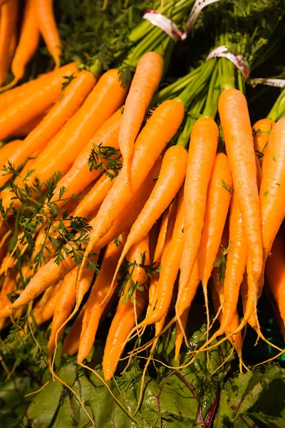 Fresh carrot in supermarket — Stock Photo, Image