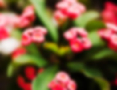 Atatürk Milii. Arka plan