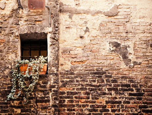 Vecchia parete dalla pietra e finestra con reticolo — Foto Stock