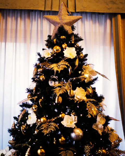 Estrela na árvore de natal — Fotografia de Stock