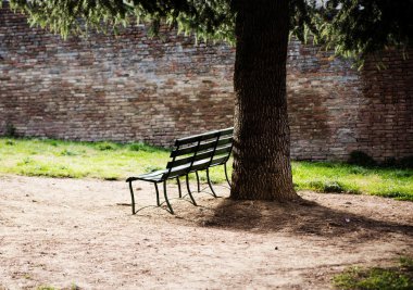 bir parkta ağaç altında tek tezgah