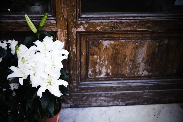 Strauß weißer Lilie neben der alten Tür — Stockfoto