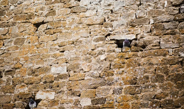 Brick wall with the pigeon's holes — Stock Photo, Image