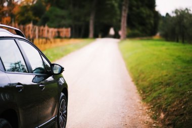 Ağaçları ile oluşan doğal tünel