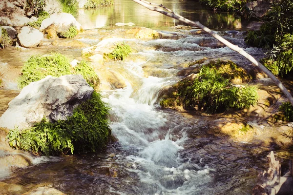 Fonte de água na floresta — Fotografia de Stock