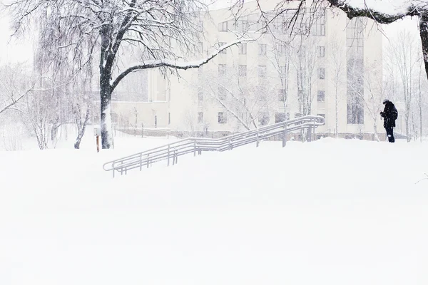 Nevicate abbondanti in città — Foto Stock