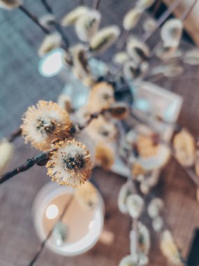 Cup of coffee and pussy willow