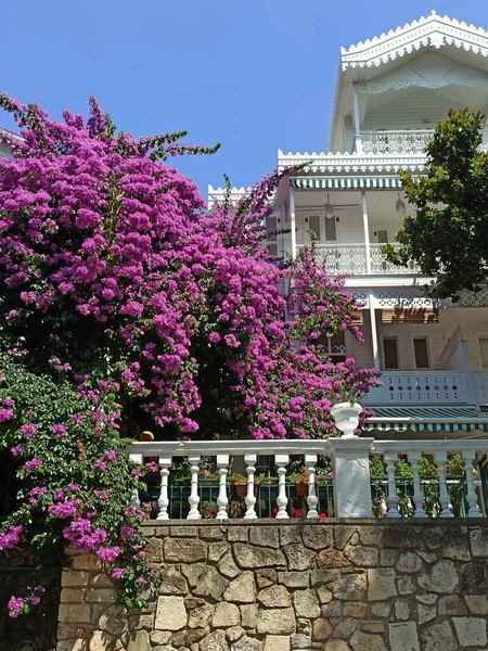 Adalar 'daki Beyaz Saray