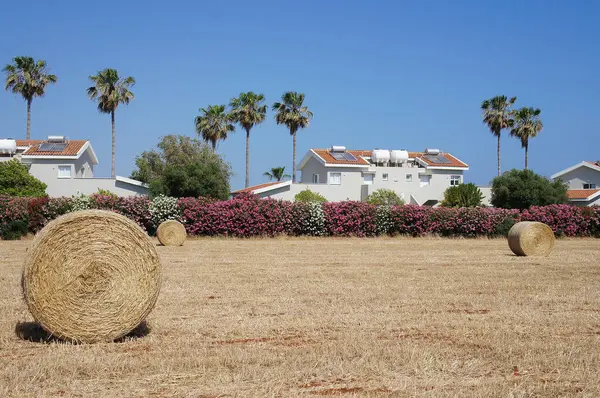 Bir Alan _ 2 üzerindeki saman yığını