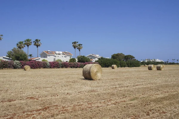 Samanlık bir alanı