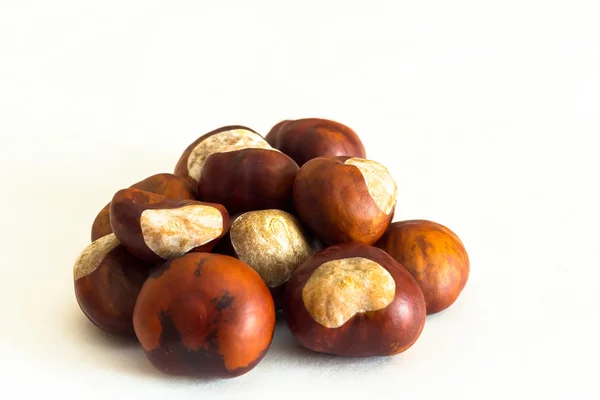 Castagne fresche isolate su bianco — Foto Stock