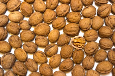 Beyaz bir arka plan üzerinde beyaz bir arka planda arka plan ceviz