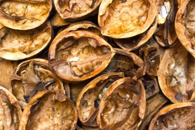 Beyaz bir arka plan üzerinde ceviz enkazı