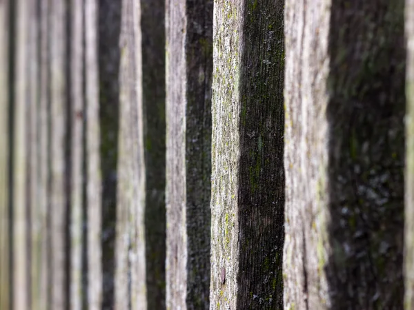 Old wooden fence in the village in the summer term — Stock Photo, Image
