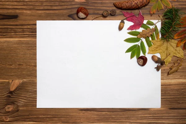 Köknar dalları ve konileri olan Noel arkaplanı