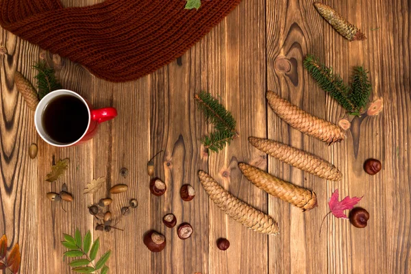Köknar dalları ve konileri olan Noel arkaplanı