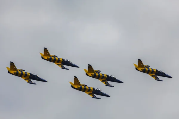 ZHUKOVSKY, MOSCOW REGION, RUSSIA - AUGUST 29, 2015: Aerobatic Team Baltic Bees on Aero L-39 Albatros at WorldWide AirShow MAKS-2015 in Zhukovsky, Moscow region, Russia. — Zdjęcie stockowe