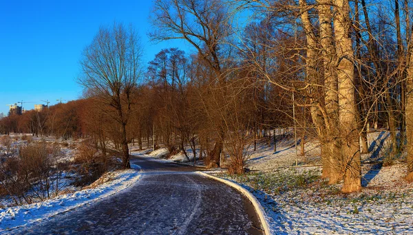 Şehir Parkı erken kış