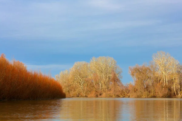 Paisaje Otoñal Orillas Del Río Danubio Con Árboles Otoñales Cielo —  Fotos de Stock