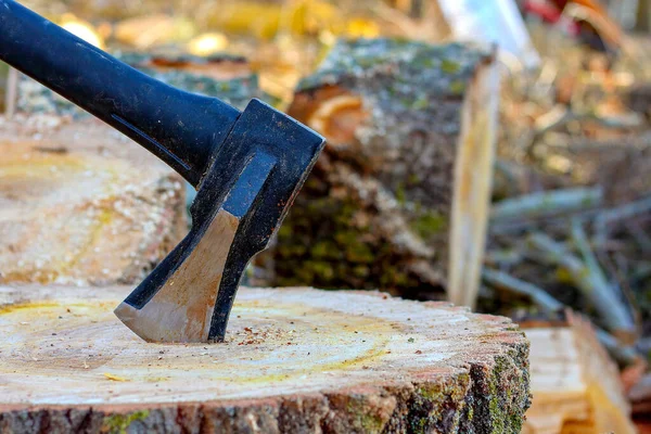 bir kütüğe saplanmış balta