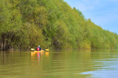 Bahar kayağı. Macera, seyahat, aksiyon, yaşam tarzı kavramı. Kanocu adamın arkadan görünüşü Tuna nehrinde sarı bir kano..