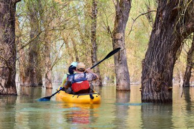 Evli çift, Tuna Nehri 'nin ıssız bölgelerinde Tuna Biyosfer rezervindeki yüksek kaynak sularında sel basmış ormanların arasında sarı bir kano sürüyor. Bahar kanosu ve su turizmi ve baharda eğlence.