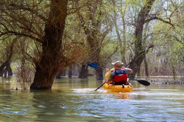 Çiftler, Tuna Nehri 'nin ıssız bölgelerinde Tuna Biyosfer rezervindeki yüksek kaynak sularındaki sel basmış ormanların arasında sarı bir kano çekiyorlar. Bahar kanosu ve su turizmi ve baharda eğlence.