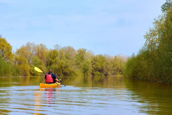 Vårkajakpaddling Begreppet Äventyr Resor Handling Livsstil Bakifrån Kajakpaddlare Man Paddla — Stockfoto