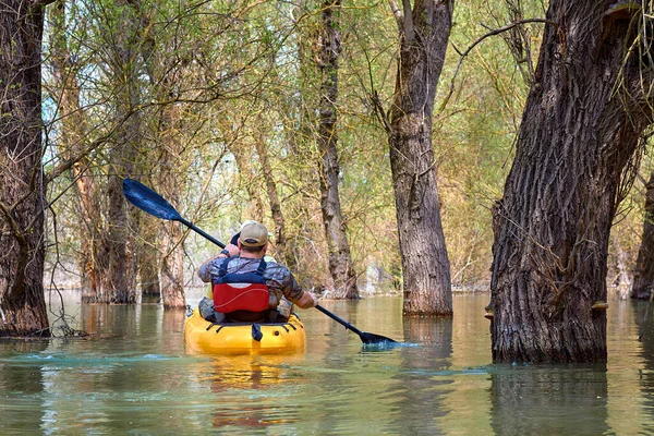 Couple paddle a yellow kayak in wilderness areas at Danube river among flooded forest at spring high water on Danube biosphere reserve. Spring kayaking and water tourism and recreational at spring