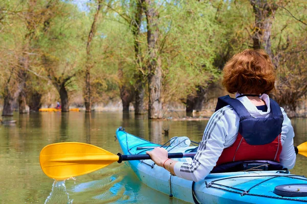 Kvinna Blå Kajak Bland Översvämmade Träd Kajakpaddling Vildmarksområden Vid Donau — Stockfoto