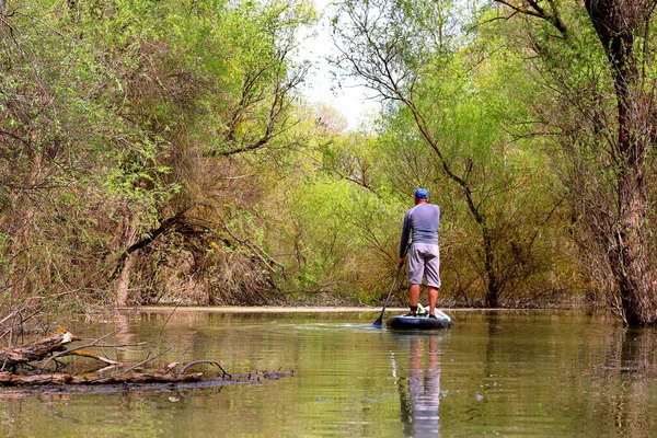 Hombre Stand Paddle Boarding Sup Remando Entre Árboles Inundados Áreas — Foto de Stock