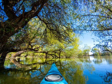 Tuna Nehri 'nin yüksek sularındaki sel basmış ağaçlardaki mavi kano kürekçisinin bakış açısından çekildi. Tuna Nehri 'nin yüksek sularındaki sel basmış ağaçların arasındaki ıssız alanlarda kano..