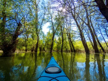 Tuna Nehri 'nin yüksek sularındaki sel basmış ağaçlardaki mavi kano kürekçisinin bakış açısından çekildi. Tuna Nehri 'nin yüksek sularındaki sel basmış ağaçların arasındaki ıssız alanlarda kano..
