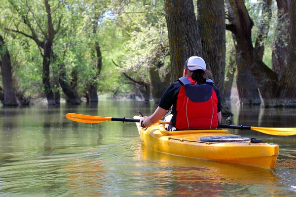 Hombre Kayak Amarillo Entre Árboles Inundados Áreas Silvestres Río Danubio — Foto de Stock